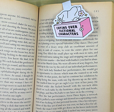 Magnetic Bookmarks